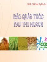 bảo quản thóc sau thu hoạch