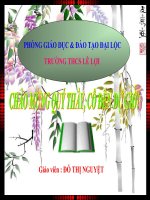 vai trò của thực vật