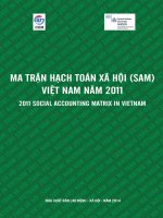 ma trận hạch toán xã hội việt nam năm 2011