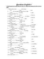 Câu hỏi tiếng anh 6