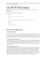 kiến thức seo cơ bản cho người làm seo