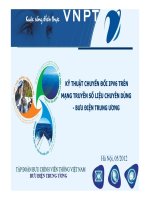 kỹ thuật chuyển đổi ipv6 trên mạng truyền số liệu chuyên dùng - bưu điện trung ương