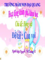 Trò chuyện về con voi