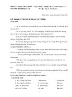 ke hoach phong chong bao lut