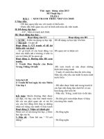 MĨ Thuật lớp 1-5 tuần 1