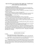 Báo cáo CNTT 2012 và Phương hướng năm 2013