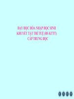 DẠY HỌC HÒA NHẬP HS KHUYẾT TẬT TRÍ TUỆ