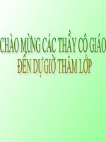 Bài 21: Trình bày cô động bằng bảng