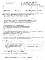 Đề Thi chọn HSG Tiếng Anh Lớp 9