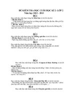 Đề kiểm tra đọc cuối học kì 2