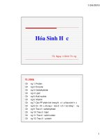 Bai giang protein  cơ sở hóa sinh