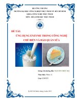 Tiểu luận hóa sinh: ỨNG DỤNG ENZYME TRONG CÔNG NGHỆ CHẾ BIẾN VÀ BẢO QUẢN SỮA