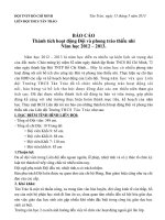 Báo cáo Đội cuối năm 2013