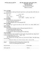 Đề thi HSG Hoá 8 năm 2012-2013