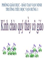 Tiết 53.Cây con mọc lên từ hạt