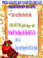 Lĩnh vực phát triển thể chất, đề tài đi trên băng ghế, đầu đội túi cát