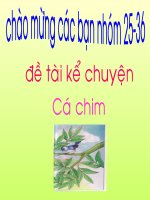 chuyen mot phen so hai