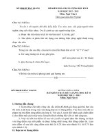 Đề thi HK II 6(2012-2013) văn