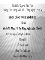 sinh thái rừng ngập mặn cần giờ