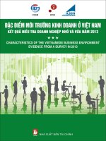đặc điểm môi trường kinh doanh ở việt nam kết quả điều tra doanh nghiệp nhỏ và vừa năm 2013