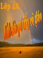 Môn Toán lớp 4- Thầy Tập