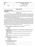 KEM TRA HKII MON TIENG VIET 4