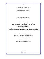 Nghiên cứu chỉ số tei bằng doppler mô trên bệnh nhân bệnh cơ tim giãn