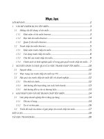 Vấn đề tranh chấp tên miền và các biện pháp giải quyết