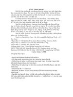 Phần mềm cắt ghép video