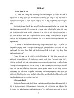 đặc điểm ngôn ngữ của nhân vật nữ qua hành vi cầu khiến trong truyện ngắn Nam Cao trước năm 1945