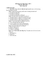 Đề KTĐK cuối kì II môn Tiếng Việt 3