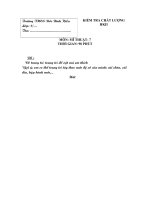 Đề thi Mỷ thuật