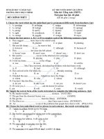 DE THI TUYEN SINH 10 - TIENG ANH