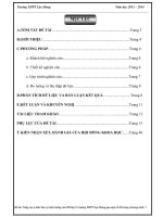 skkn nâng cao ý thức bảo vệ môi trường cho học sinh lớp 12 trường thpt lộc hưng qua một số tiết trong chương trình