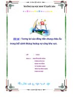 Tiểu luận môn tài chính quốc tế Tương lai của đồng tiền chung châu Âu trong bối cảnh khủng hoảng nợ công khu vực