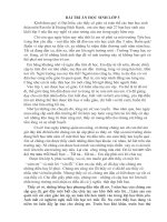 bai phat bieu cua hoc sinh lop 5 ra truong.