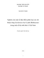 Nghiên cứu một số đặc điểm phân loại các chi thuộc tông gardenieae họ cà phê (rubiaceae) trong một số hệ sinh thái ở việt nam