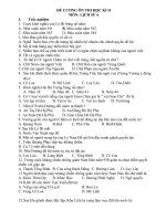 DE CUONG ON THI LOP 6