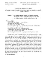 BAO CAO THANH TICH CA NHAN 2013