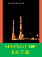 nguồn vốn đầu tư trong doanh nghiệp phân tích thực trạng huy động và sử dụng vốn đầu tư phát triển trong DNNN việt nam hiện nay