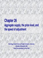 aggregate supply, the price level, and the speed of adjustment