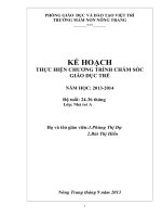 KẾ HOẠCHTHỰC HIỆN CHƯƠNG TRÌNH CHĂM SÓC GIÁO DỤC TRẻ