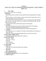 GA Bài 38. Các nhân tố ảnh hưởng đến sinh trưởng và phát triển ở động vật