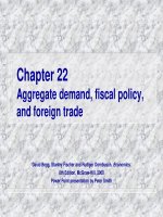 aggregate demand, fiscal policy, and foreign trade