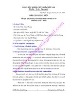 BÁO CÁO SKKN 2012 - 2013