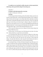 Các nghiên cứu các loại bệnh lây nhiễm cũng như các hiện tượng khí hậu bất thường có liên quan đến dao động El nino hướng nam