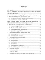 Xây dựng chiến lược kinh doanh của công ty Cổ phần tin học và xây dựng Hạ Long