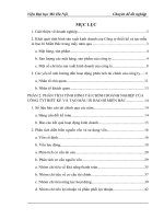 Chuyên đề tốt nghiệp  Hoàn thiện phân tích tài chính doanh nghiệp tại Công ty thiết kế và tạo mẫu in bao bì Miền Bắc