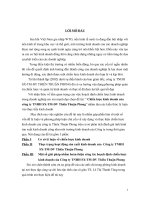 chiến lược kinh doanh của công ty tnhh sx-tm-dv thiên thuận phong