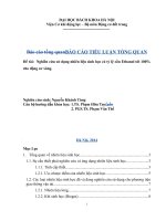 Nghiên cứu sử dụng nhiên liệu sinh học có tỷ lệ cồn ethanol tới 100% cho động cơ xăng